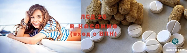 индика Алексеевка
