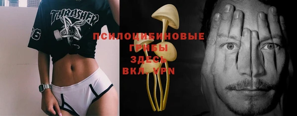 индика Алексеевка
