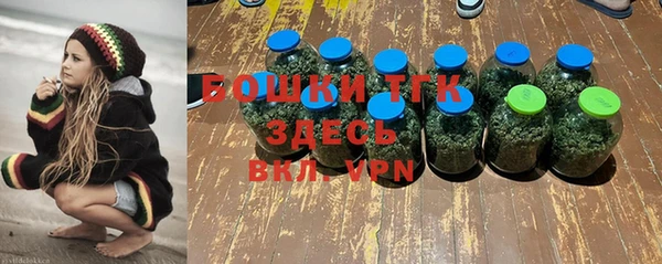 индика Алексеевка
