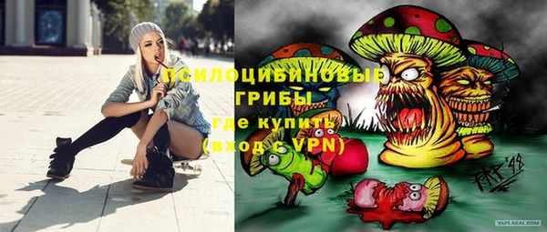 индика Алексеевка