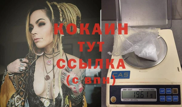 индика Алексеевка