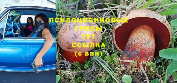 ALPHA PVP Алексин