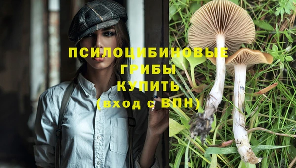 индика Алексеевка